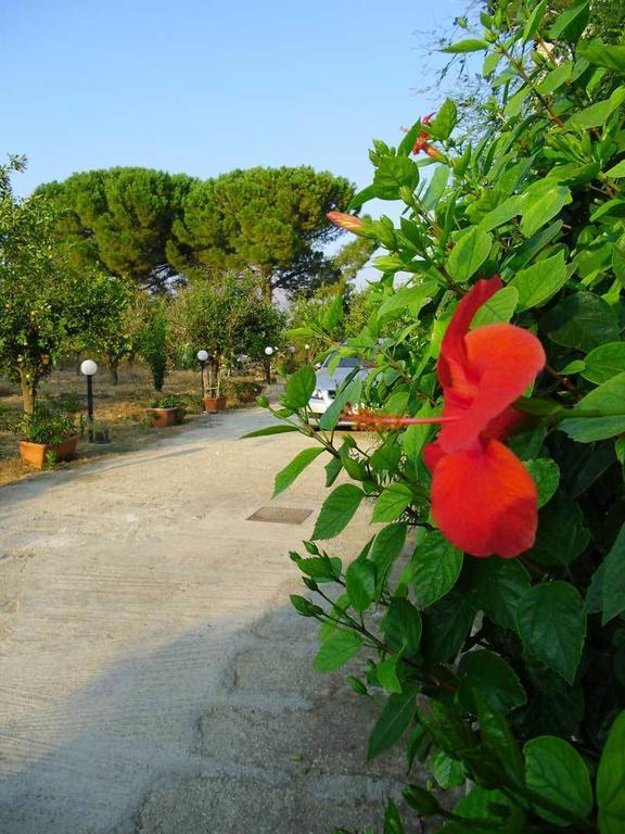 "Green" B&B Il Bracco Партинико Экстерьер фото